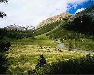 《哥特王朝：重制版》忠于原版 玩家表示非常满意